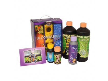 Bloombastic box Terra