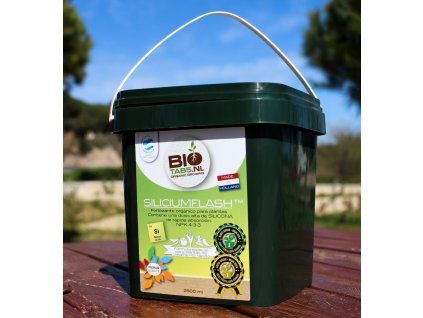 BioTabs Silicium Flash 2500 ml