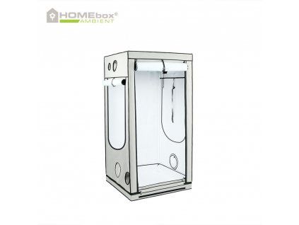 HOMEbox Ambient Q100+ (100x100x220 cm)