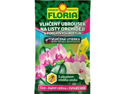 MDA4MzM0X0ZMT1JJQV9WbGhjZW55X3Vicm91c2VrX25hbGlzdHlfb3JjaGlkZWppX2FfcG9rb2pvdnljaF9yb3N0bGluXzg1OTQwMDUwMDkwNTkuanBn