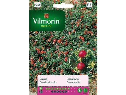 3156 1 granatovnik vilmorin premium 30 semen