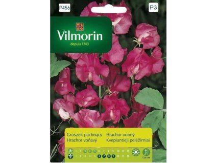 3201 1 hrachor vonny ruzovy vilmorin premium 2 g
