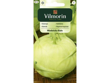 3087 1 kedlubna wiedenska vilmorin classic 2 g