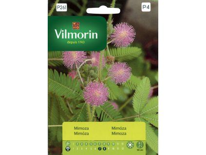 3159 mimoza vilmorin premium 0 8 g