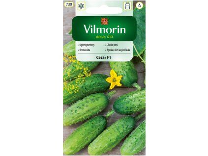 3006 1 okurka polni cezar f1 vilmorin classic 5 g