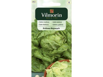 3105 1 salat maslovy vilmorin classic 1 g