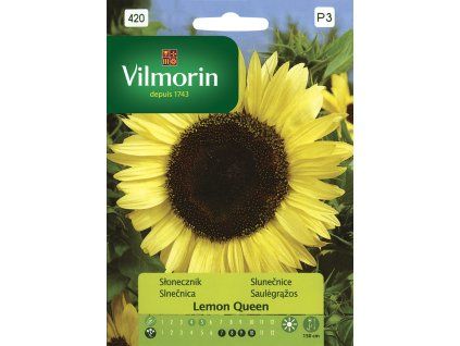 3180 1 slunecnice rocni lemon queen vilmorin premium 0 5 g