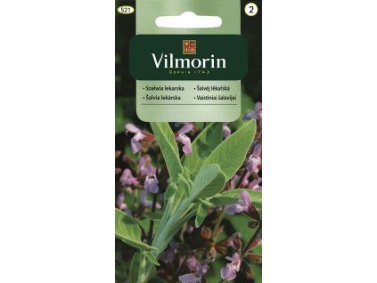 2877 1 salvej lekarska vilmorin 1 g