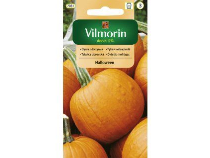 2997 1 tykev velkoploda helloween vilmorin classic 2 g cca 15 semen