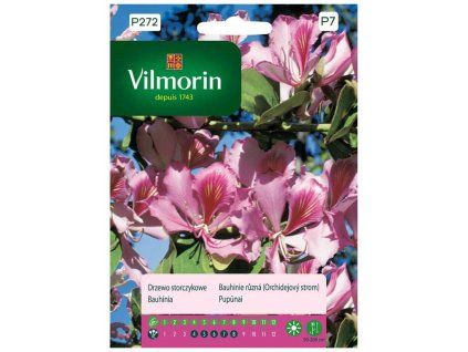 orchidejovy strom bauhinie vilmorin