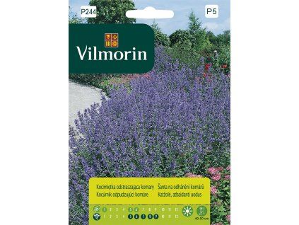 Vilmorin Santa kocici