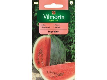 meloun vilmorin