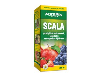 Scala - 250 ml