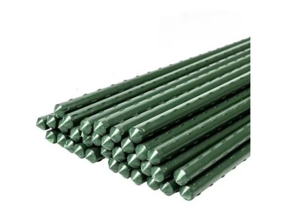 d61f505a