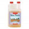 Terra Flores Canna
