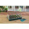 48a g155 xl high dome propagator planted 2 10