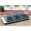 64a g78 big 3 electric propagator with plants 10