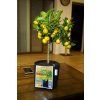 fabric pot gronest
