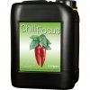 chilli focus 5 l