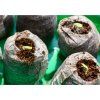 jiffy pellets