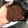 DNA Ultimate coco & cork detail