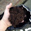 DNA Ultimate soil & cork
