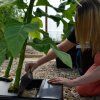 nutriculture Gro tank