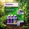 alga top grow box plagron