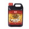 Dragon Force Shogun