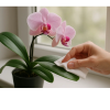 floria vhcene ubrousky na orchideje