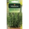 2883 1 rozmaryn lekarsky vilmorin classic
