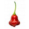 bishops crown chilli