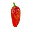 1026 1 chilli jalapeno early semena 10 ks