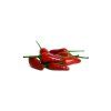 tabasco