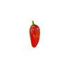 1038 chilli mix soft 9 semen