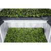 Garden High Pro Probox Propagator L, 60x40x200 cm