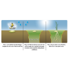 BARENBRUG SHADOW & SUN 1 kg