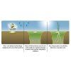 BARENBRUG RESILIENT BLUE Lawn 5 kg