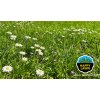Barenbrug HAPPY LAWN 500 g
