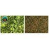Barenbrug HAPPY LAWN 500 g