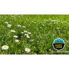 Barenbrug HAPPY LAWN 500 g