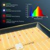 LED Mars Hydro TS1000 - 150W