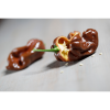 4639 1 chilli habanero chocolate semena 10 ks