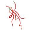4651 1 chilli thunder mountain longhorn semena 10 ks