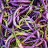 buena mullata chilli 3