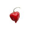 habanero red