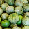 tomatillo verde 1