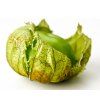tomatillo verde