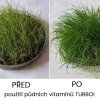 TURBO! Půdní vitamíny pro trávníky a rostliny 25 l