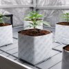 Green House Feeding Autoflower Starter Kit 5